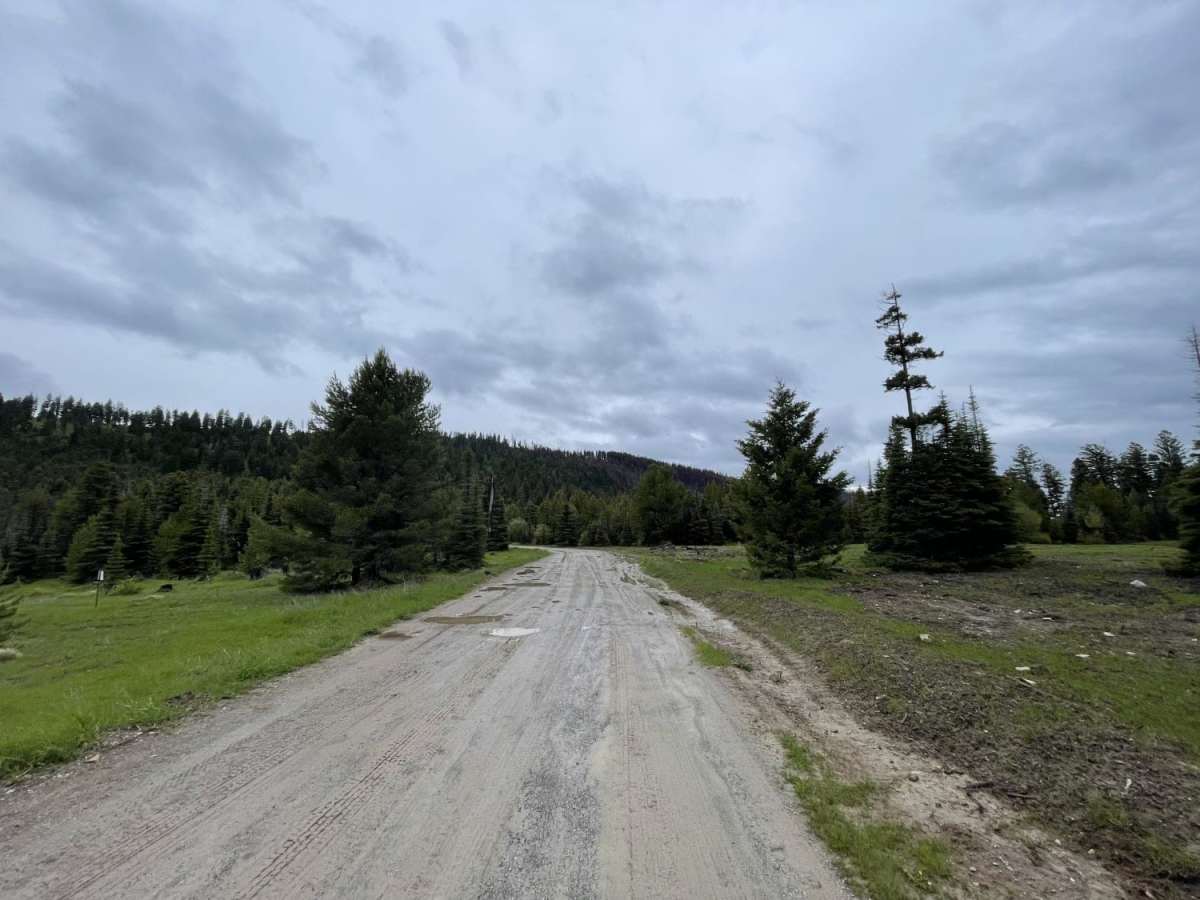 Summit Cabin Road trail photo