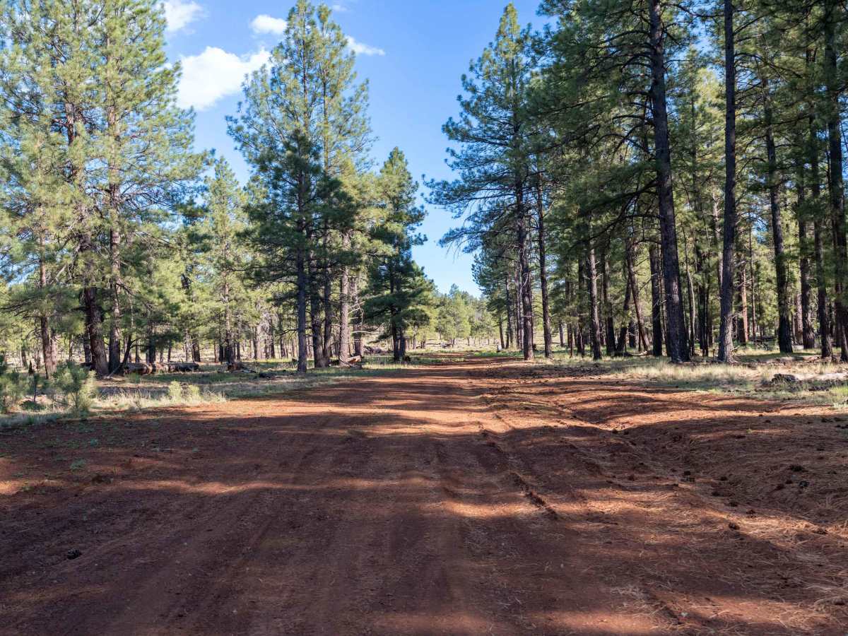 FS 526B trail photo