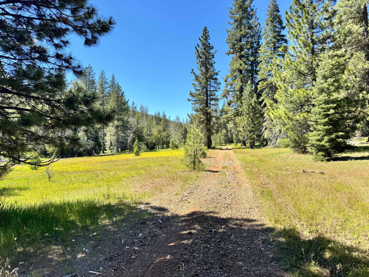 Colby Creek - FS 26N59 photo 6