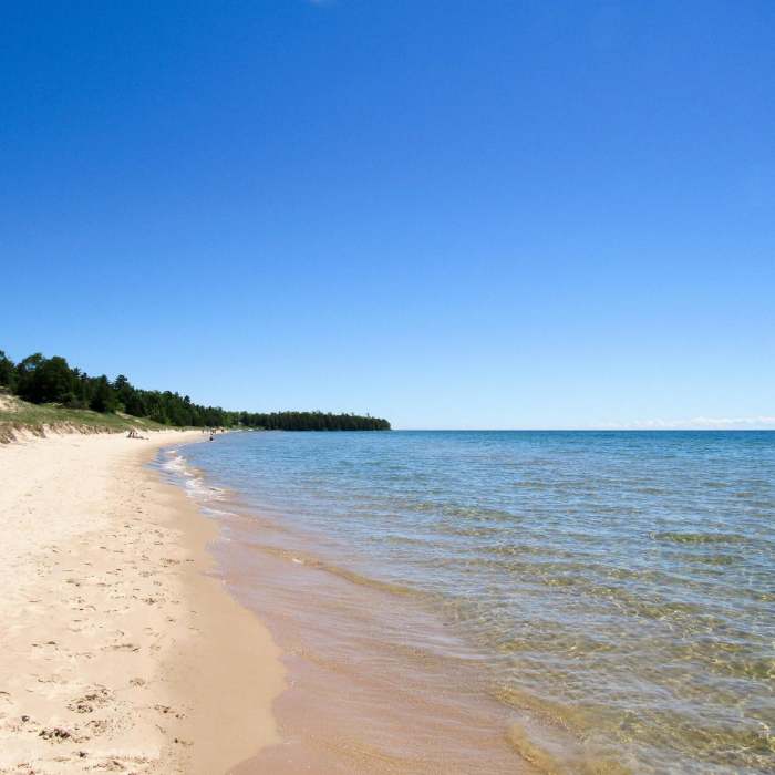 Near Red Trail Near Red Trail