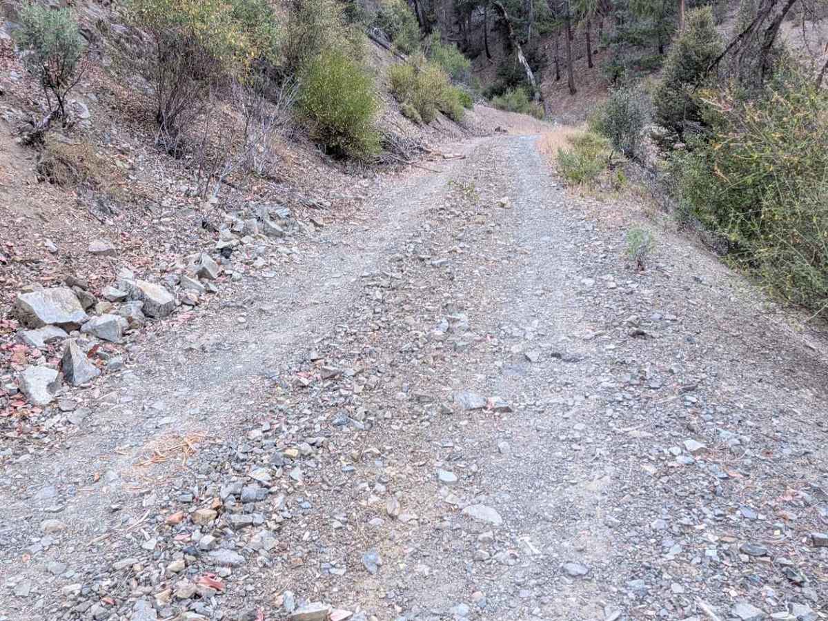 Goods Gulch Road - FS 31N38 photo 3