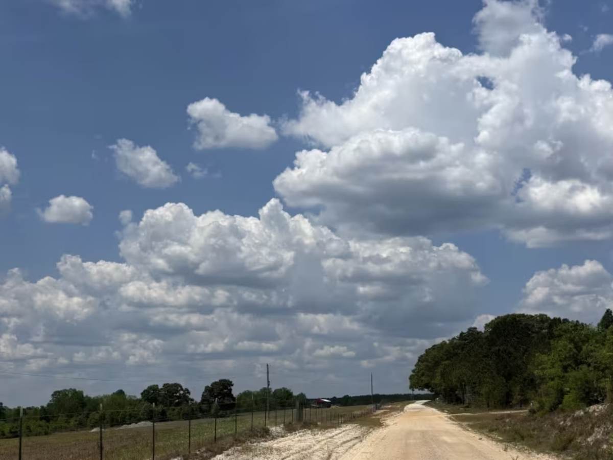 Swift Creek Road  photo 4