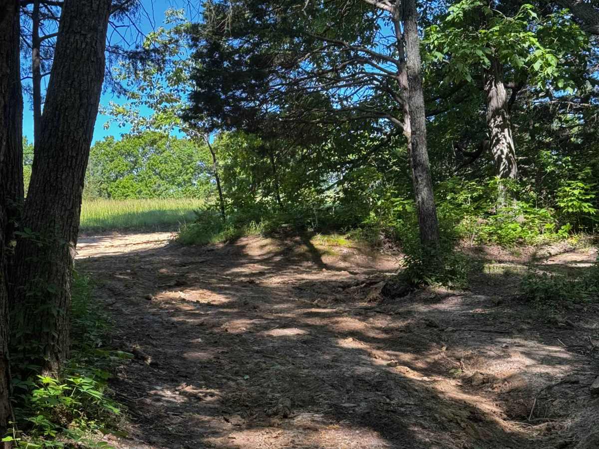 Inner Trail 13 photo 3