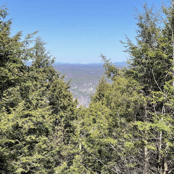 Near White Dot Trail