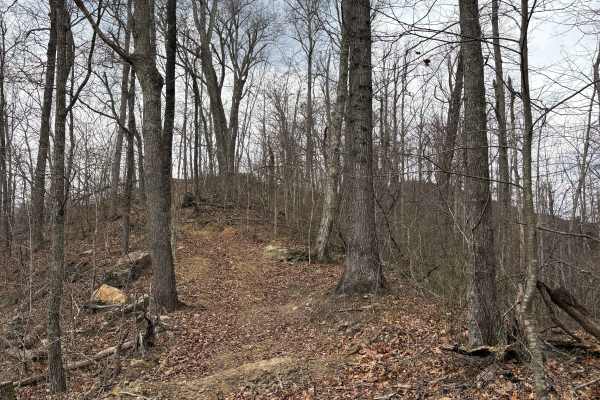 Trail 2
