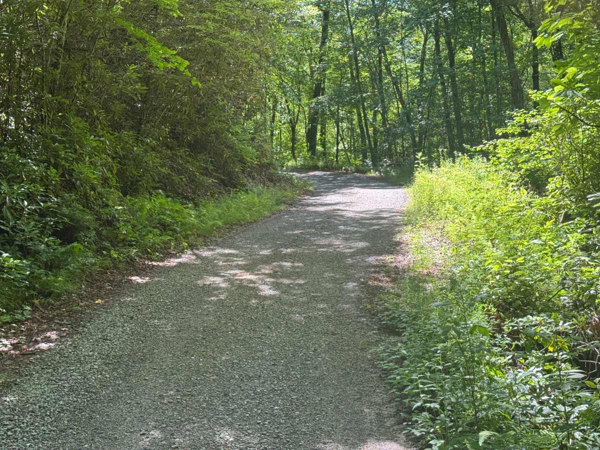 Barnett Creek - FS 6236 photo 5