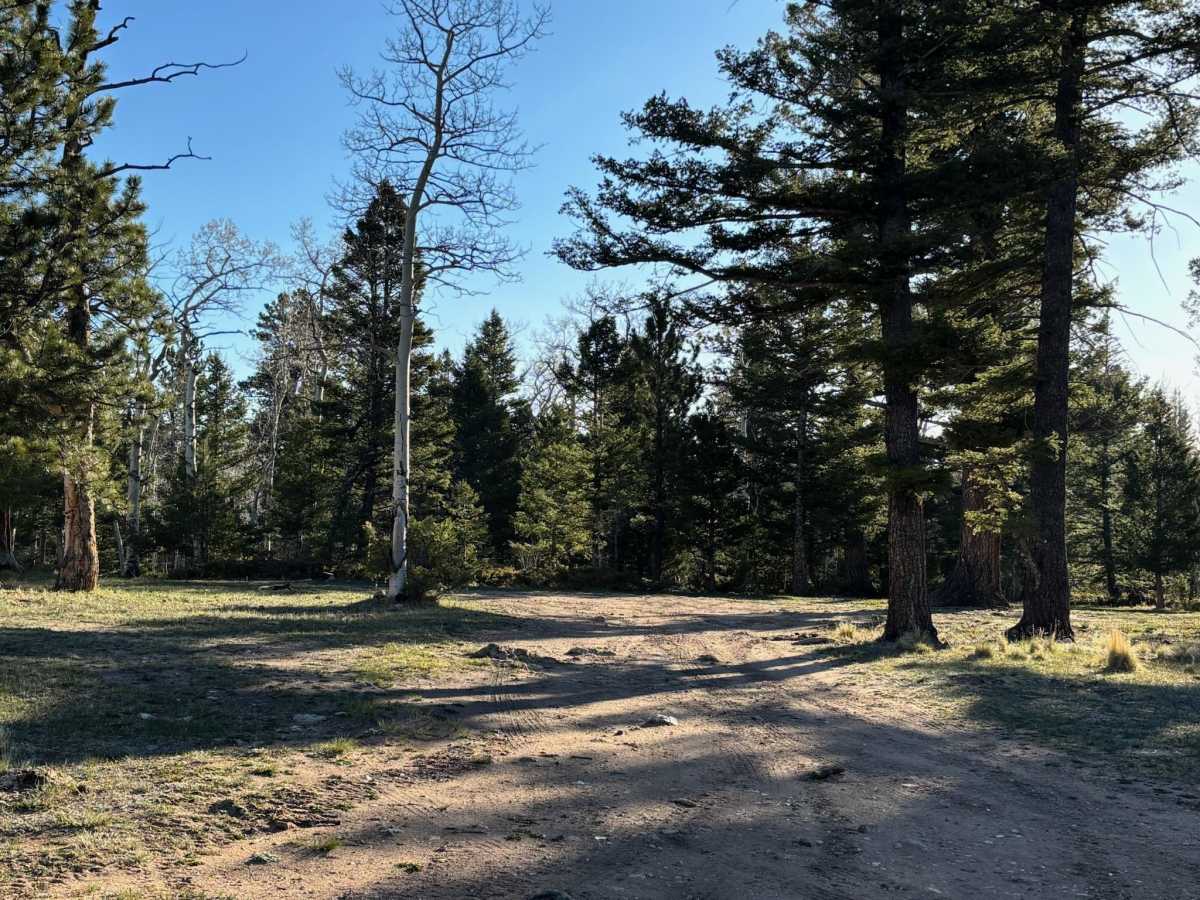 Mount Shavano - Aspen Cutoff photo 5