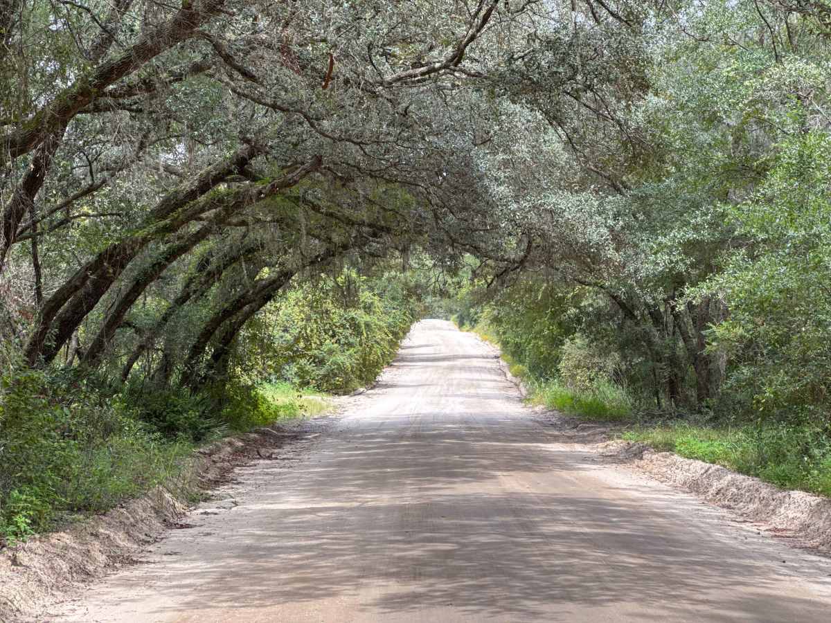 Halloway Road trail photo