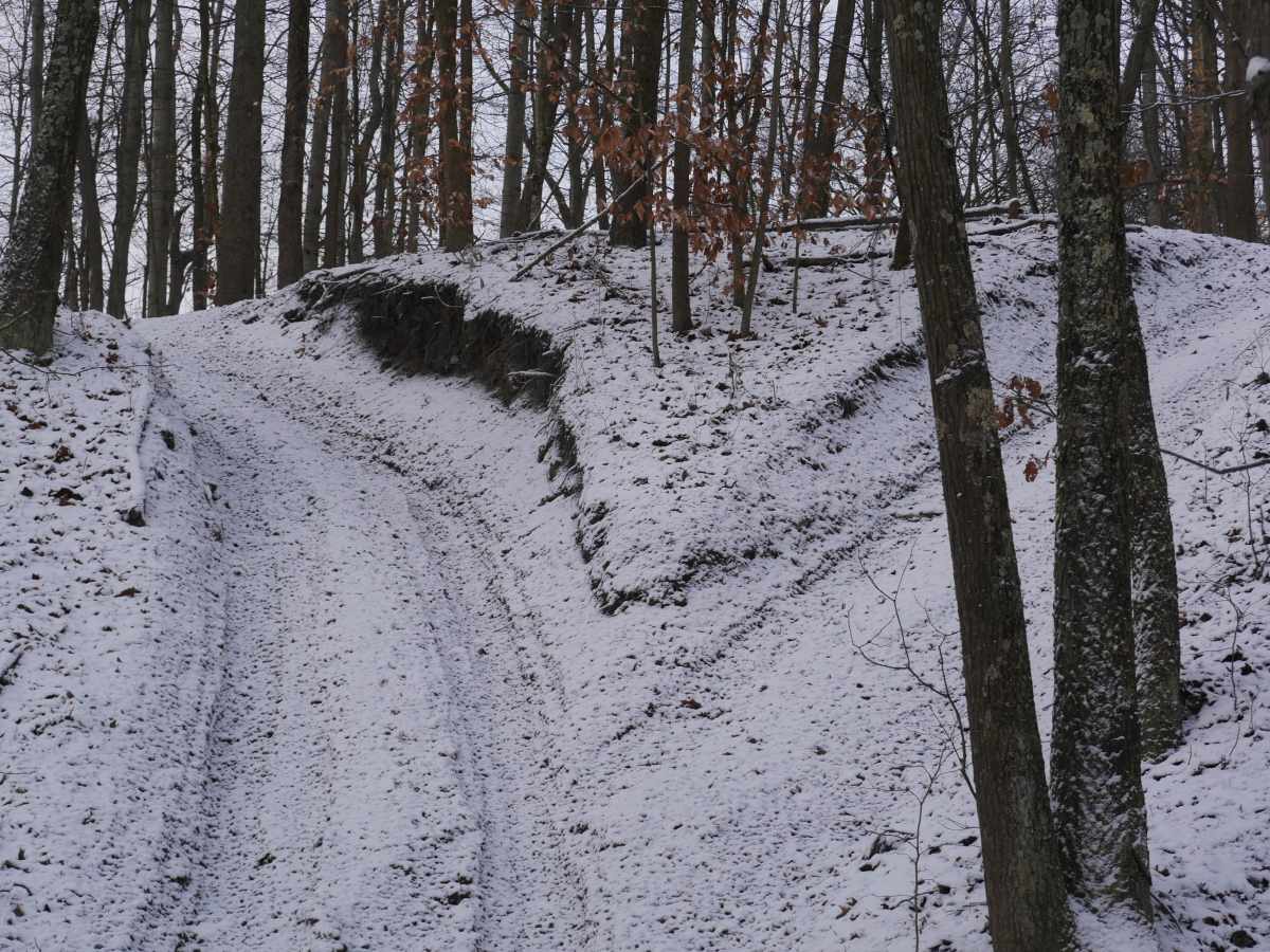 Trail 37 photo 2