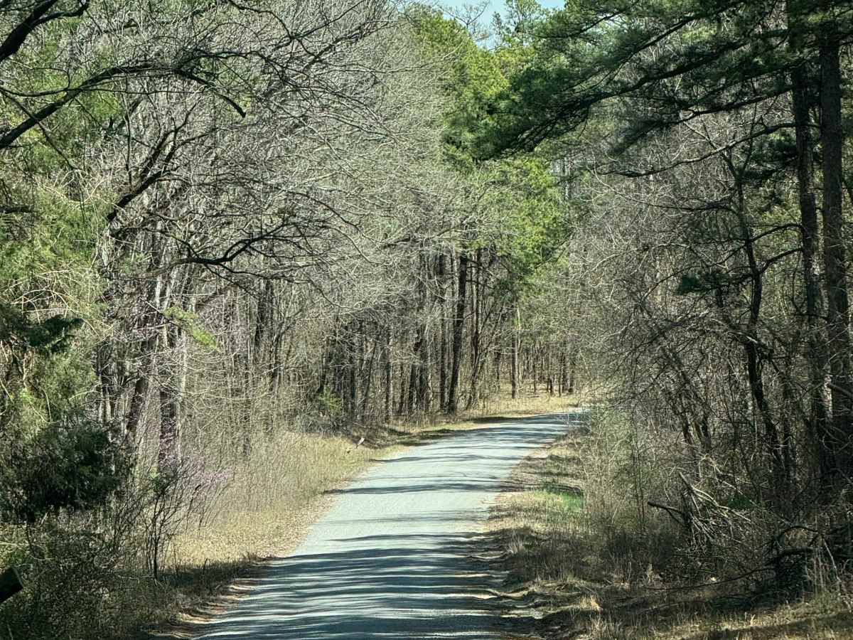 Burden Falls Road photo 3