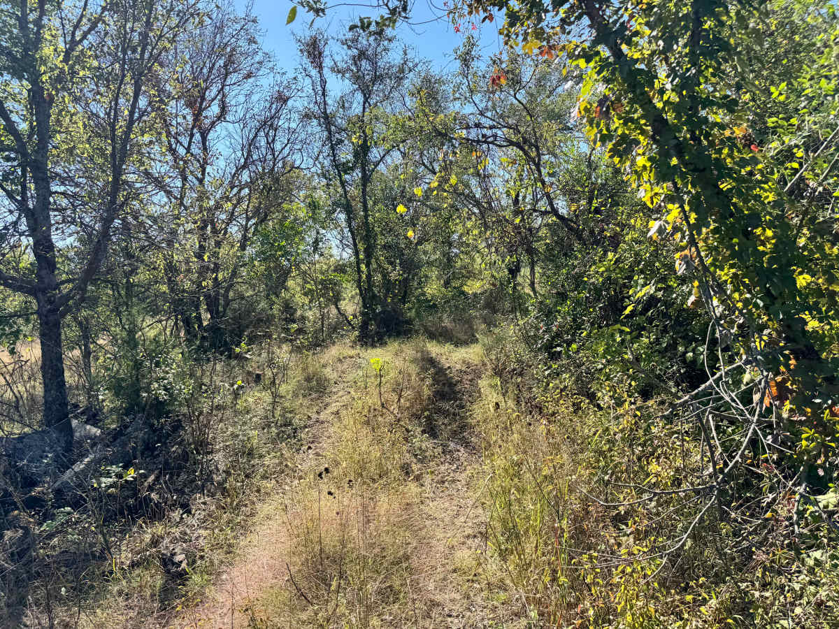 Blown Turbo Trail photo 4