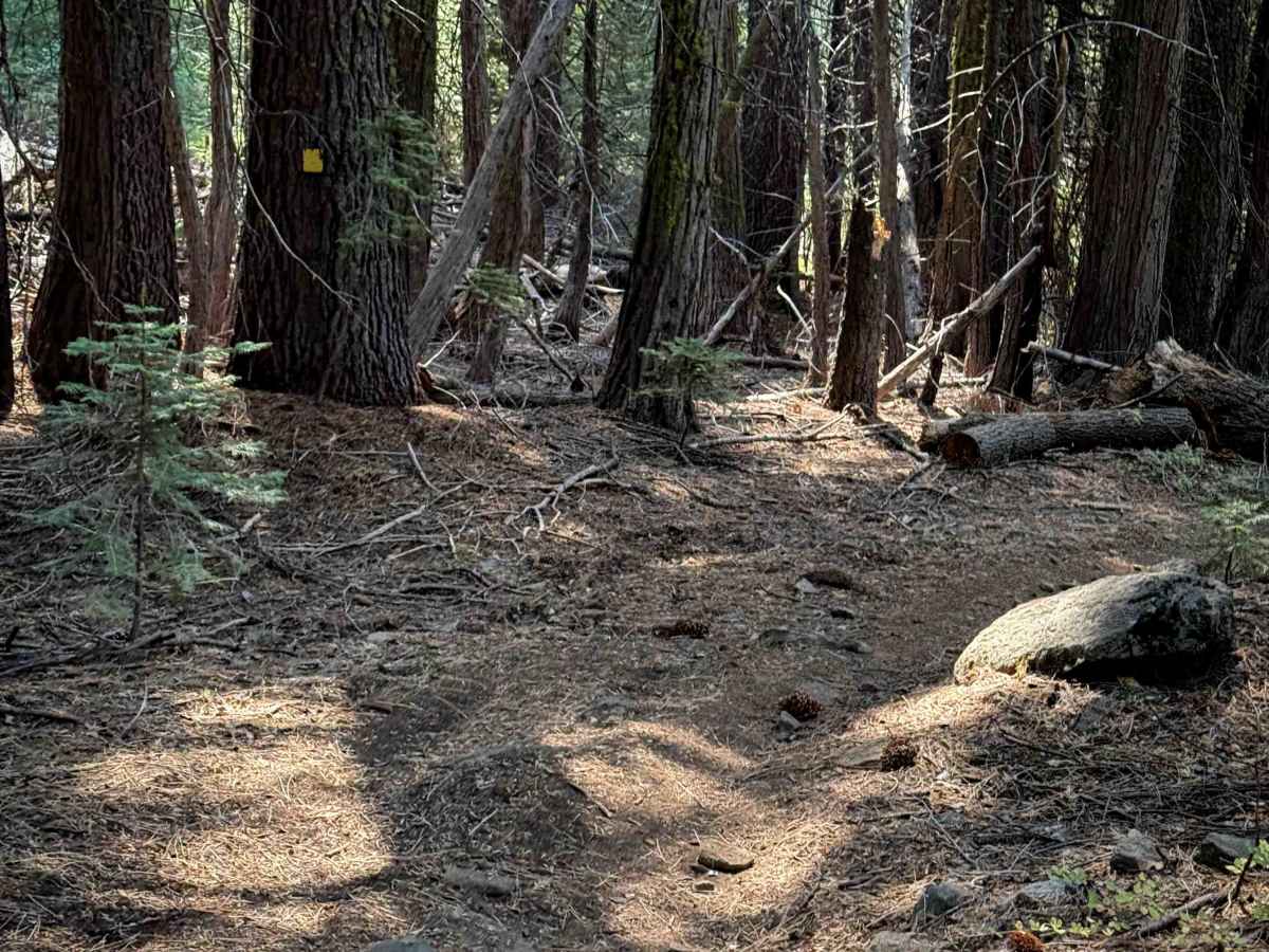 23E284 trail photo