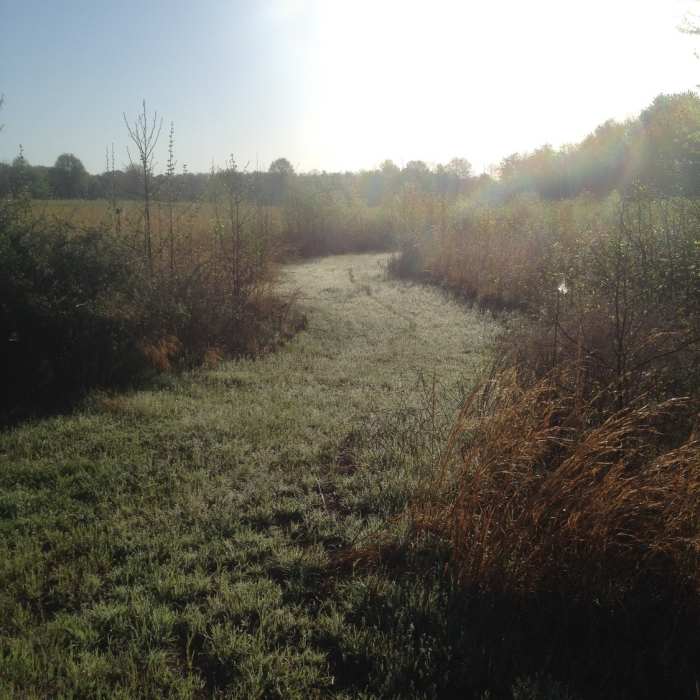 If you run in the morning, you'll experience nice sunrise. Near Wolf River Trail