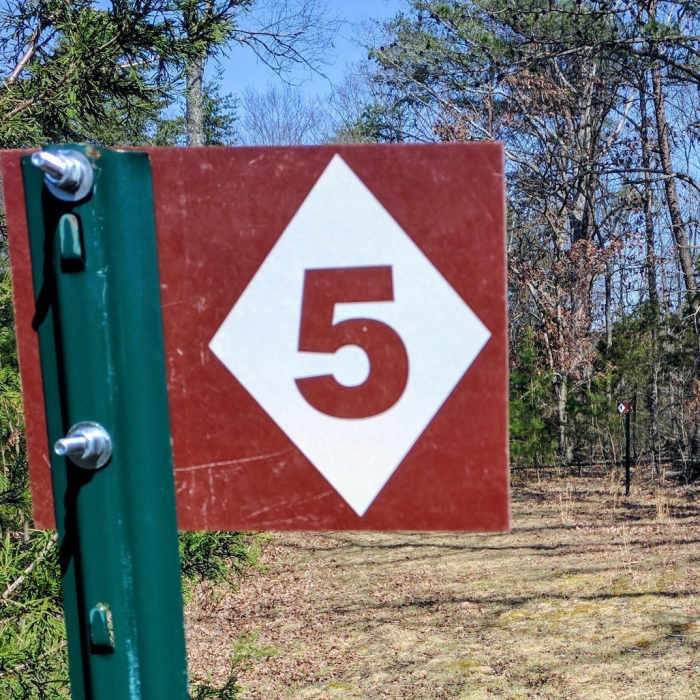 Near Lily Mountain Nature Preserve