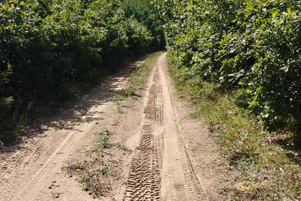 Oil Pump Trail