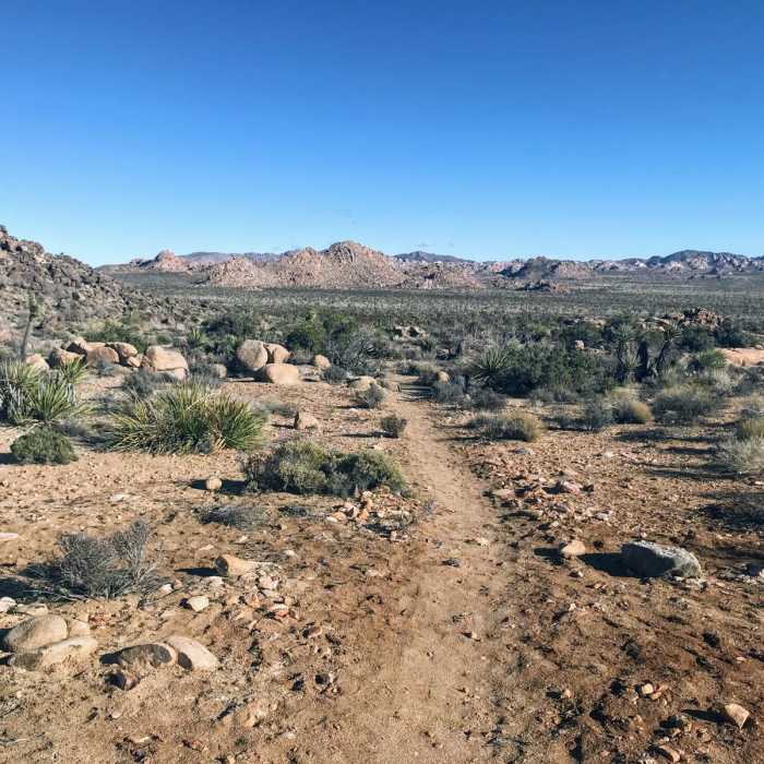 Near Bigfoot Trail Loop