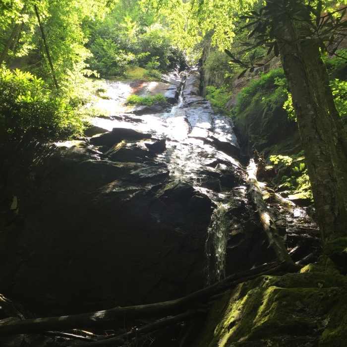 Coon Den Falls in Denis Cove, Carter County, Tennessee. Near Coon Den Falls and Appalachian Trail Loop