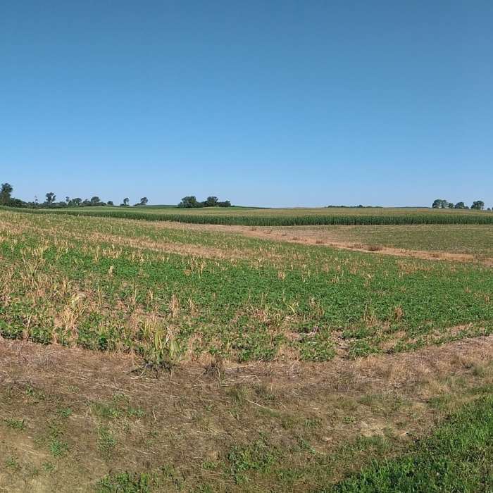 Near Musser Gap Greenway