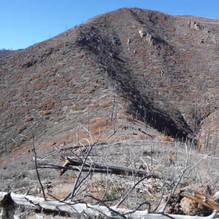 Near Los Alamos County Low Point to High Point