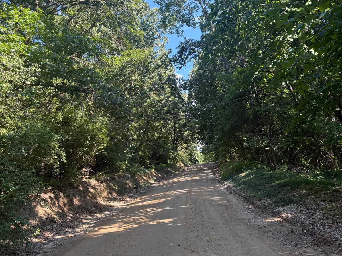Silver Hill Trail trail photo