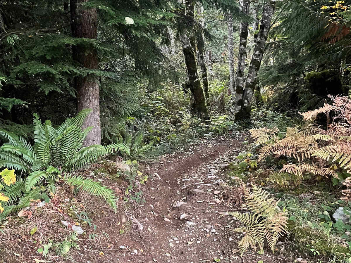 Cousin Hydro trail photo