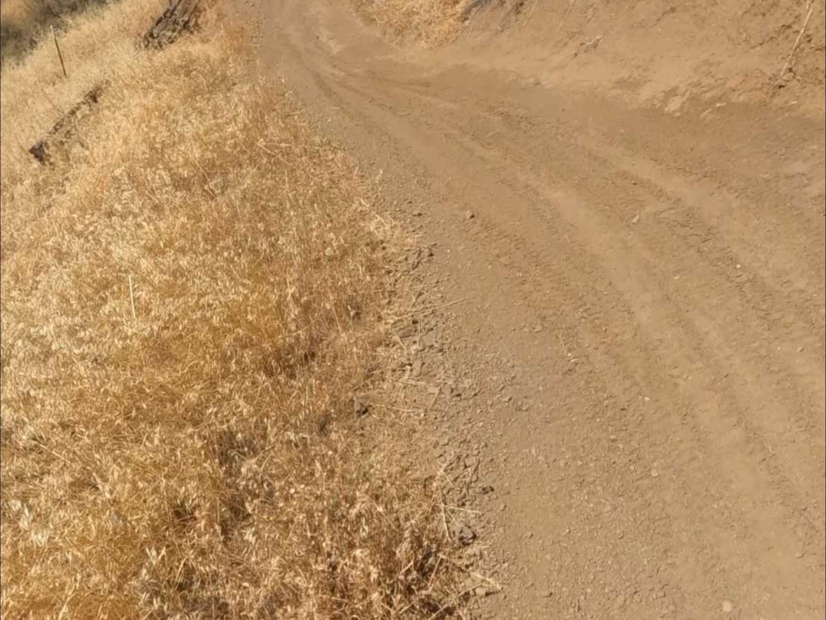 Ridge trail photo 4
