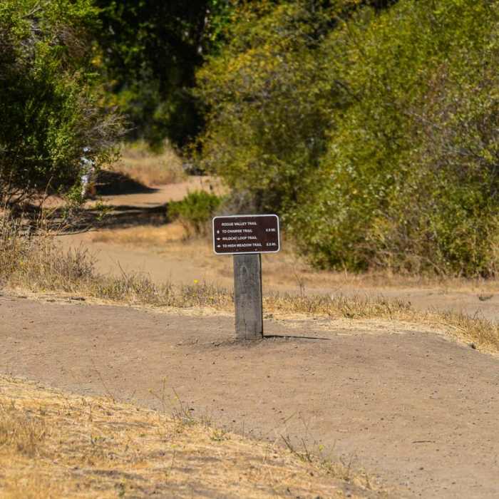 Near Rogue Valley + Wildcat Loop