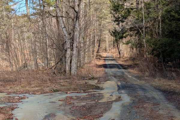 Stone Jug Road