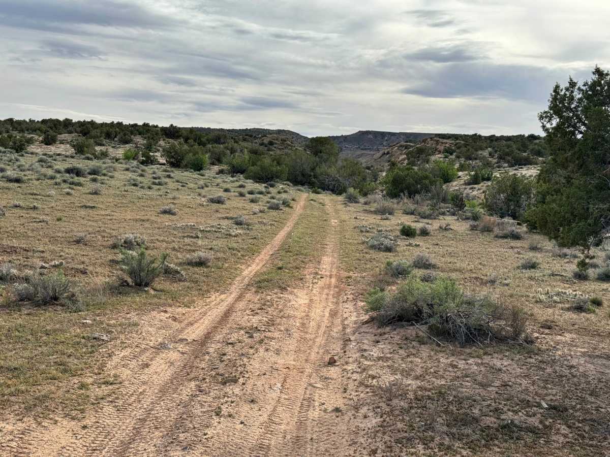 Cisco Claymore Hills trail photo