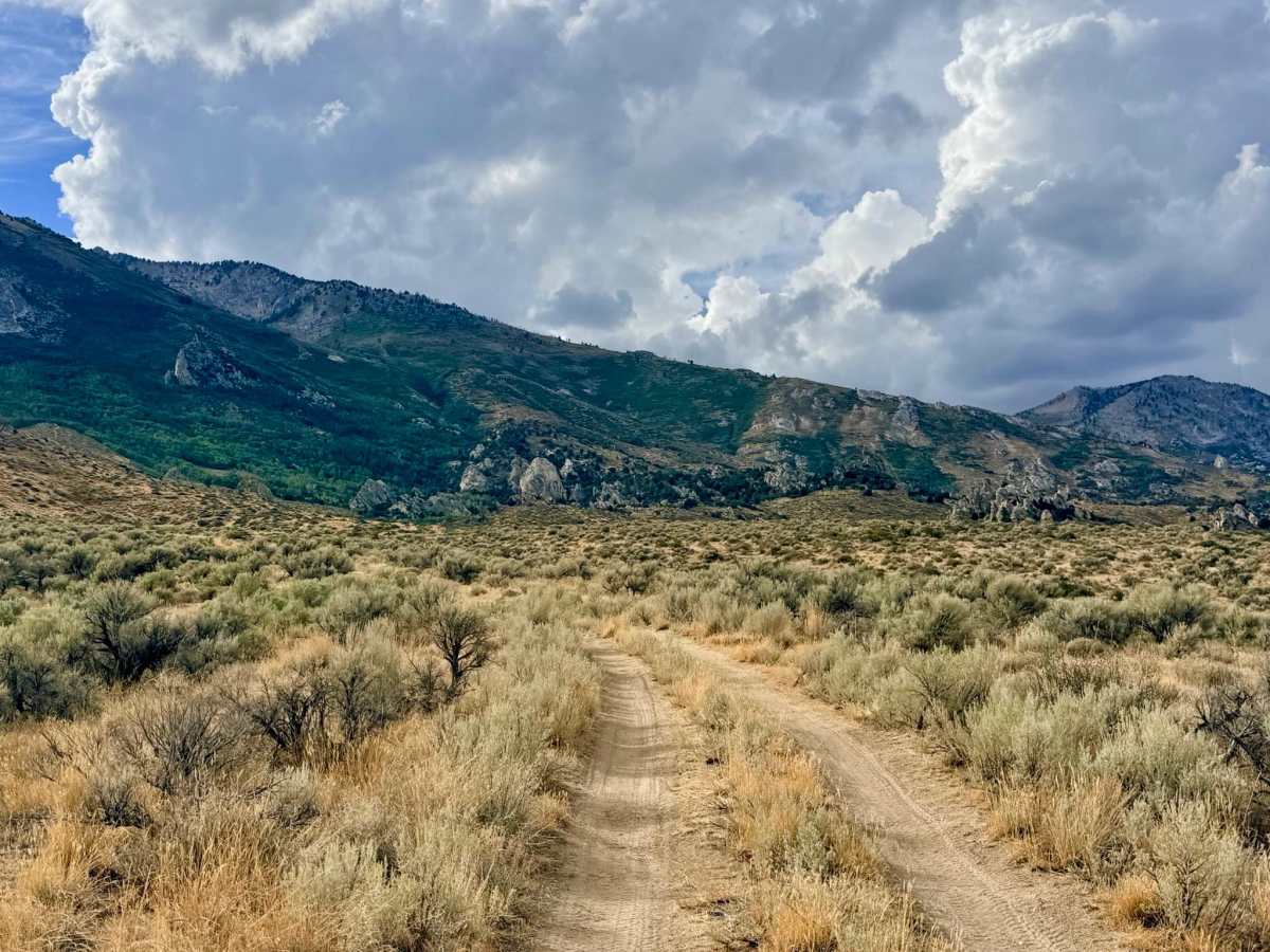 Tipton Canyon - FS 57831 photo 5
