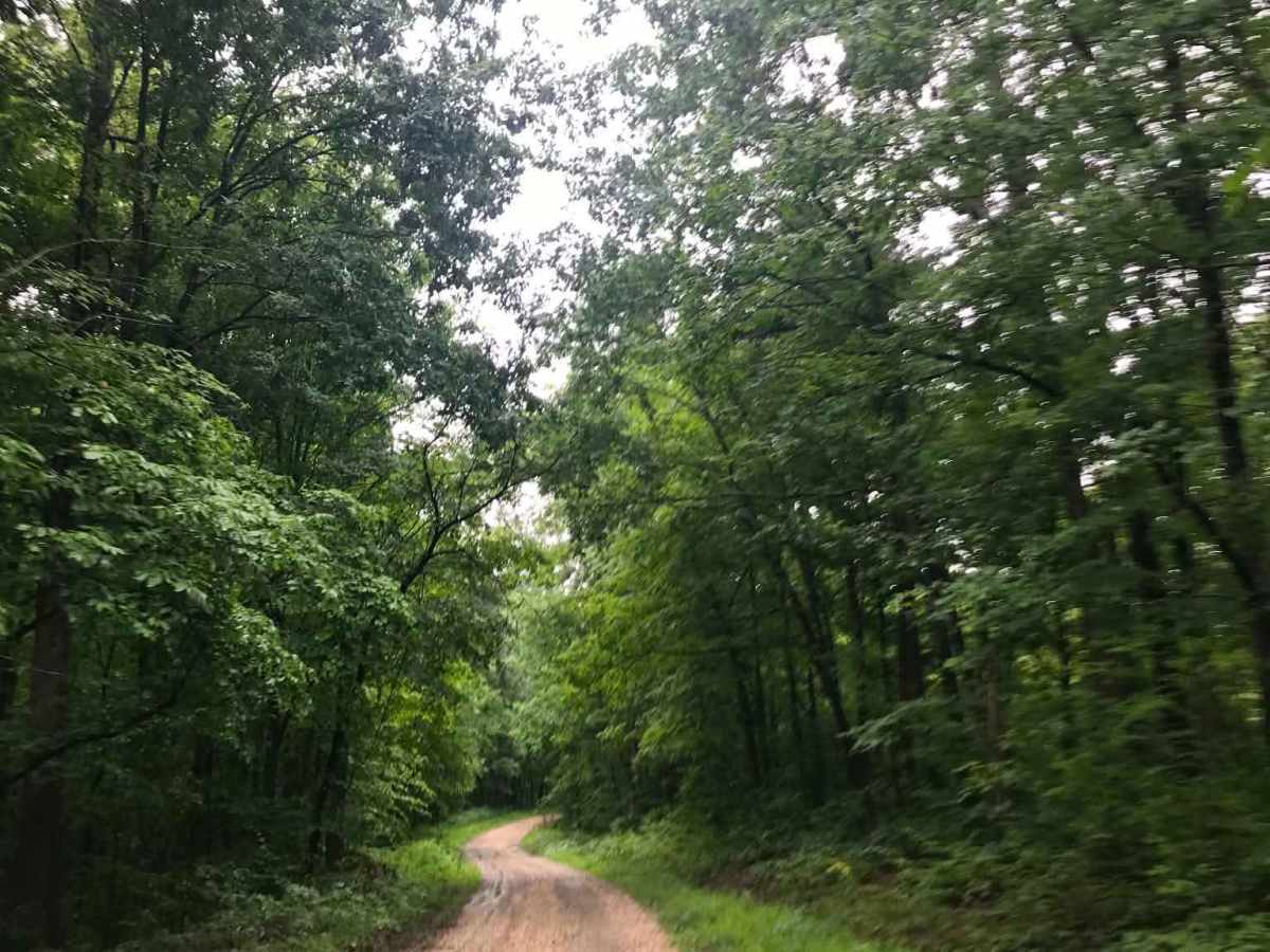 Texas Hollow  photo 4