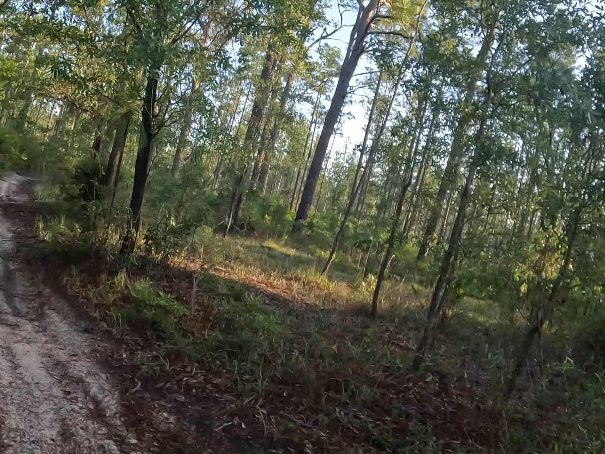 Southeast - FS 15 photo 6