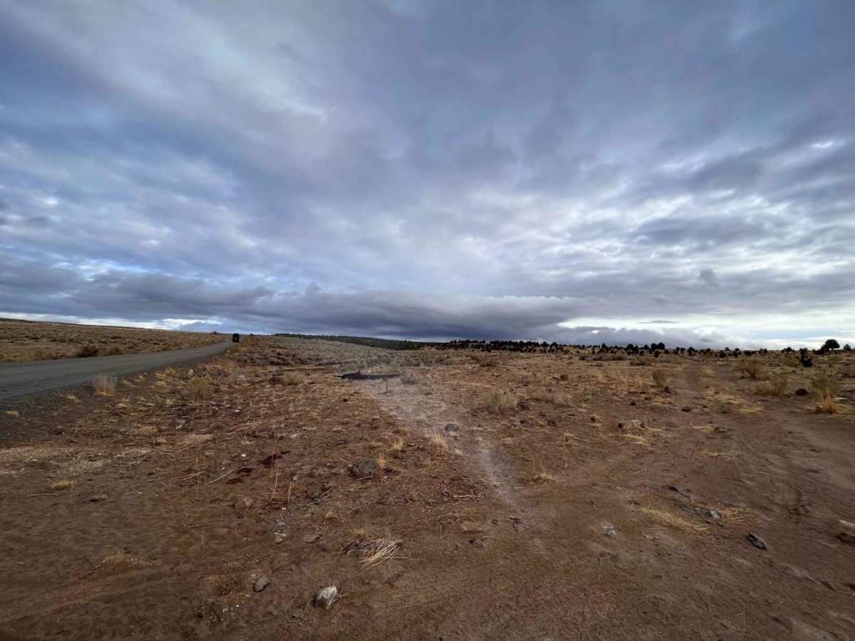 East Fish Creek Road photo 3