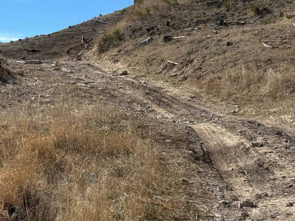 Coffee Mill Butte - FS 702 trail photo