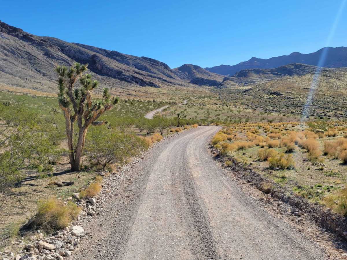 Joshua Tree Road photo 6
