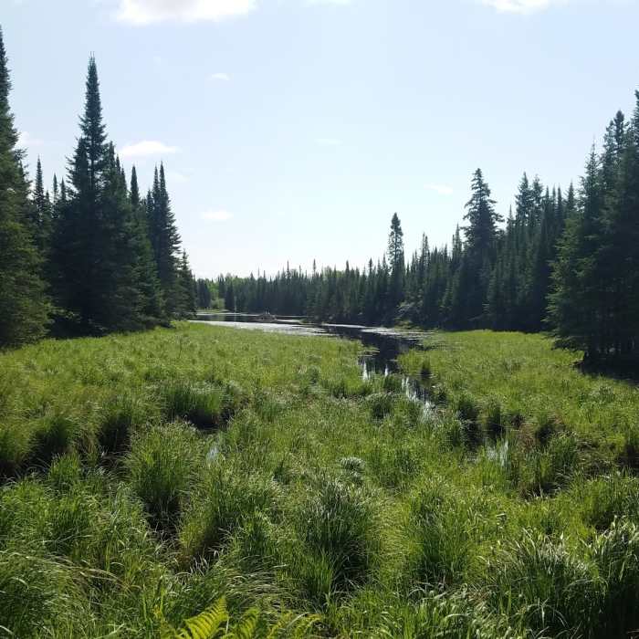 Near National Parks Marathon Project - Voyageurs National Park