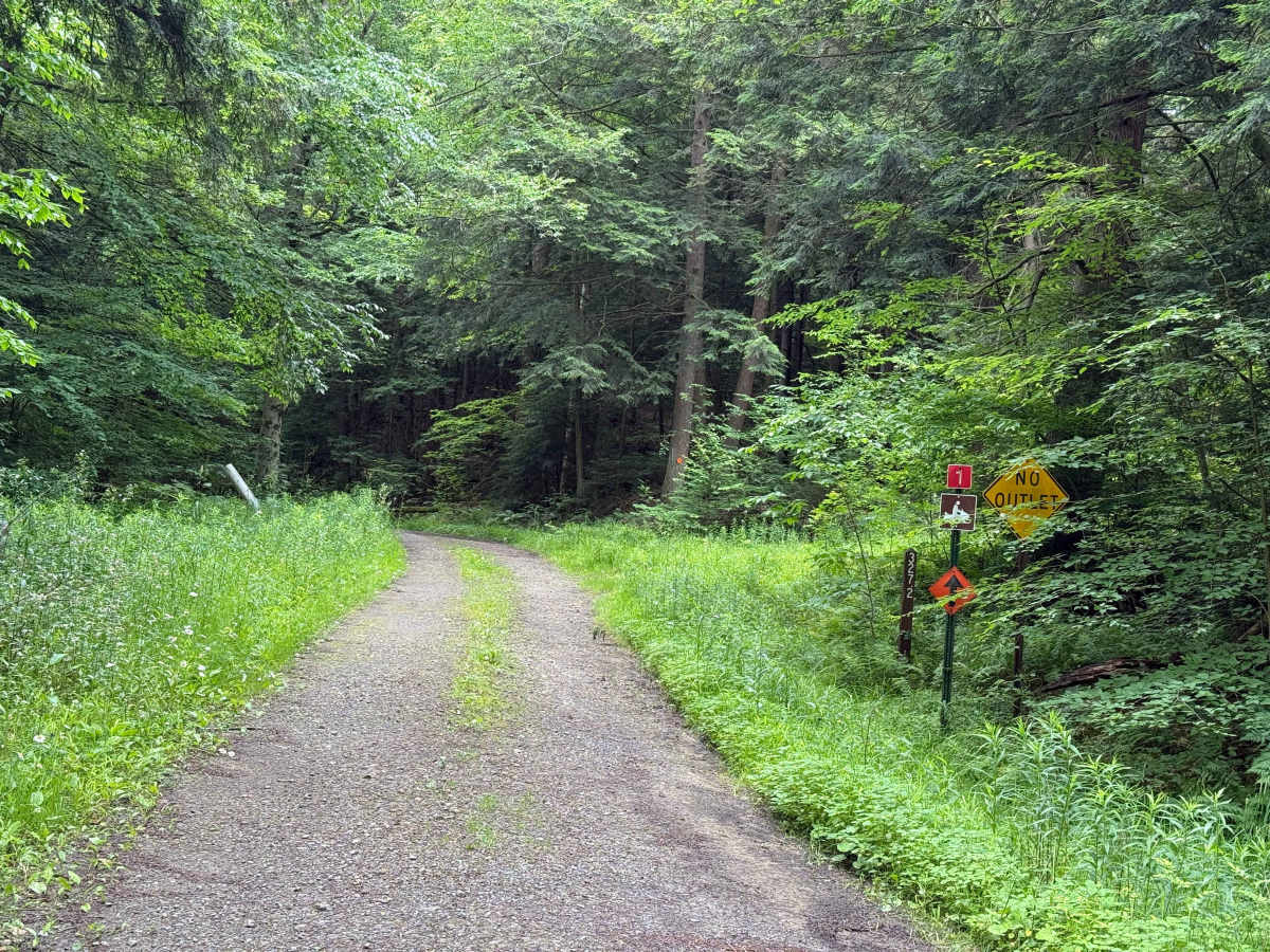 Coon Run 2 - FS 327-2 trail photo