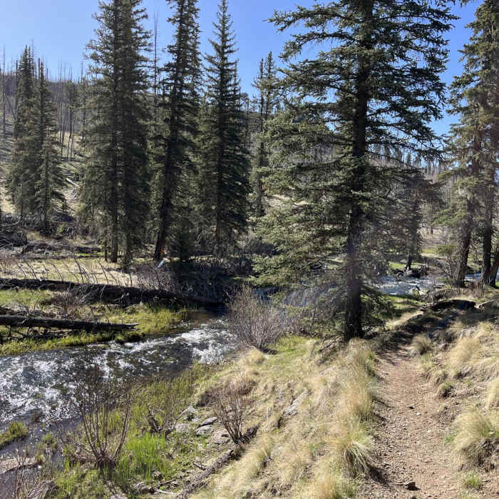 Near Thompson Trail 629