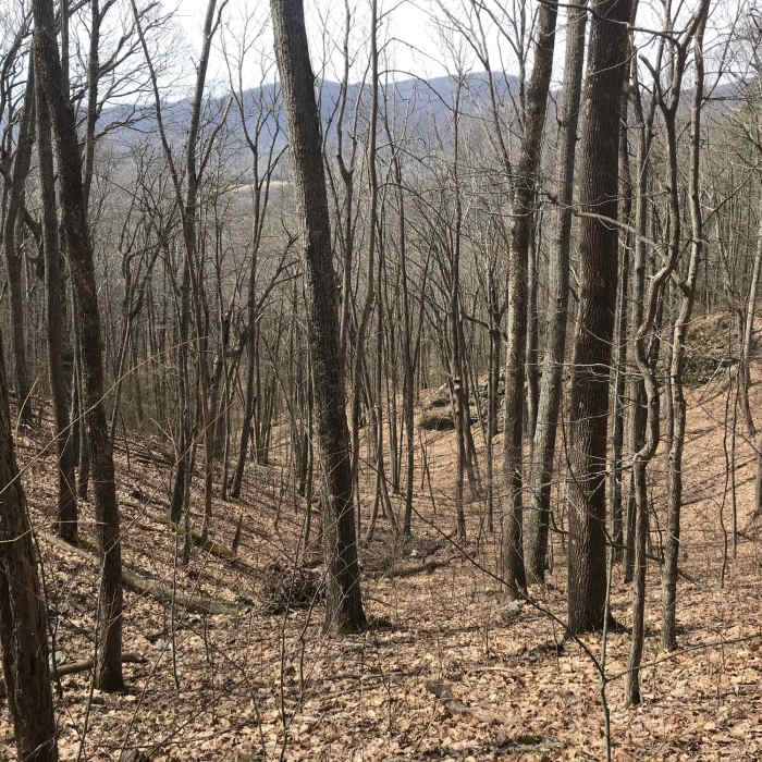 Near Back Draft Trail #546