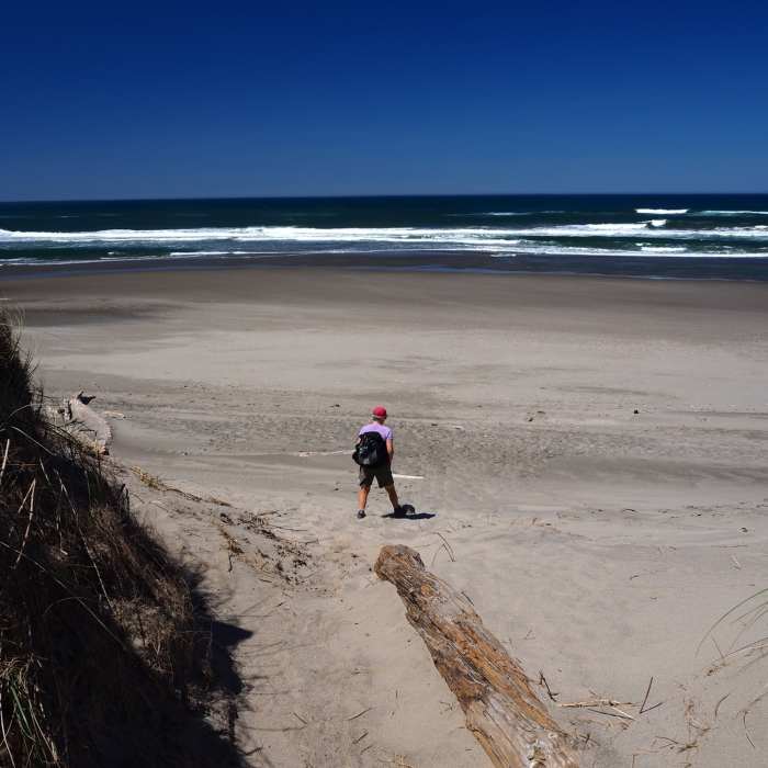 Near Bullards Beach Loop