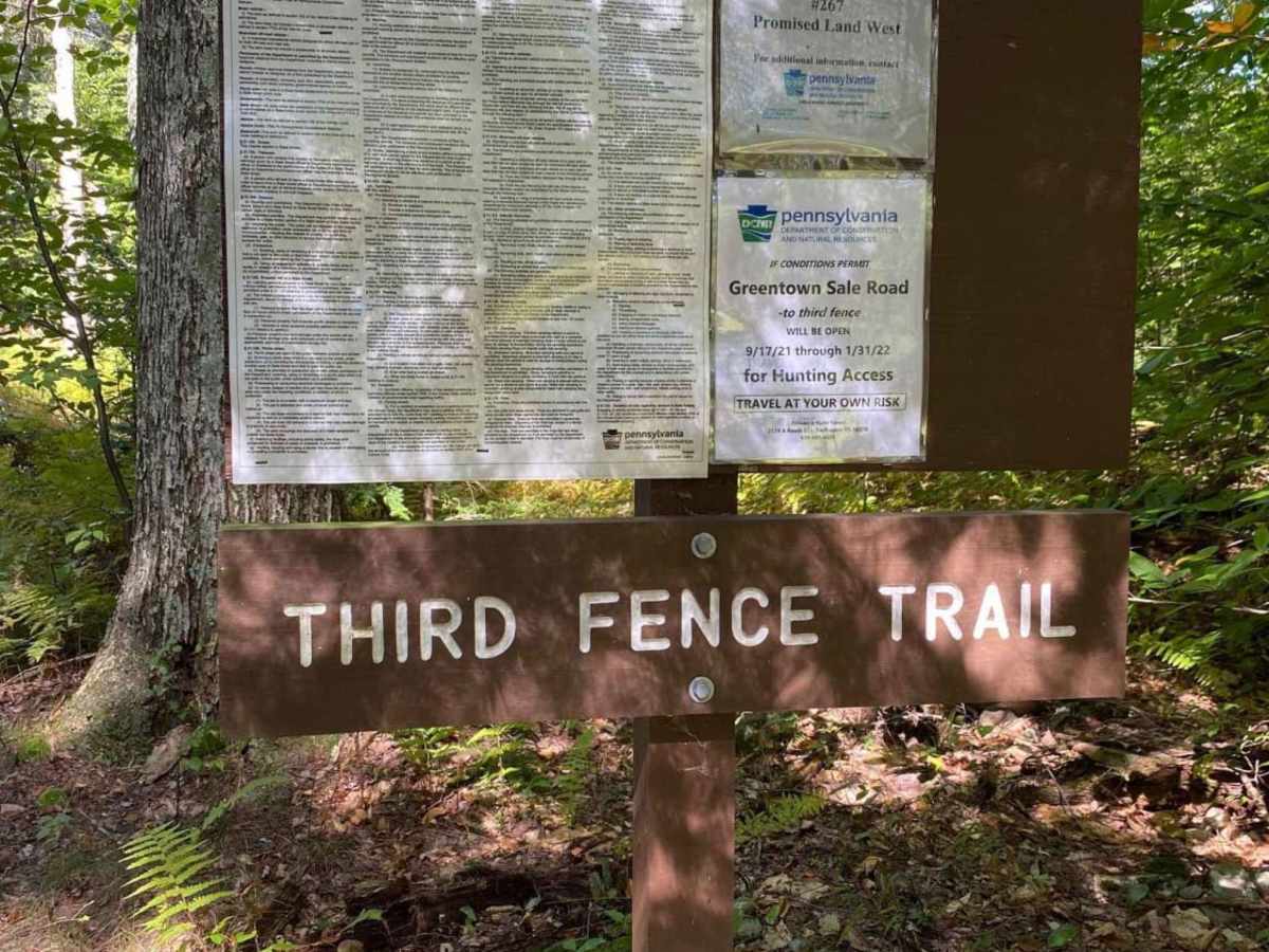 Greentown Sale Road trail photo