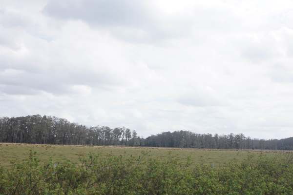 Road 10 Continuation
