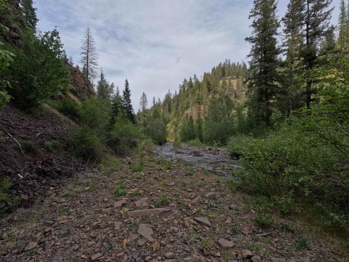 Corporation Road - FS 32 photo 6