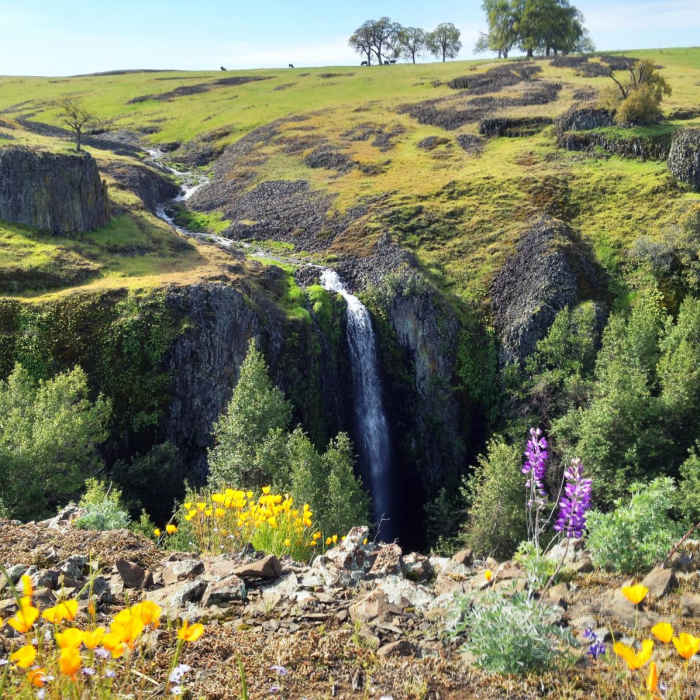 Near Fern Falls + Coal Canyon Falls
