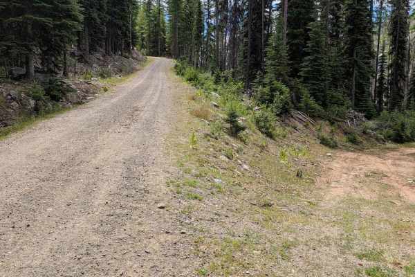 Wickiup Creek Road