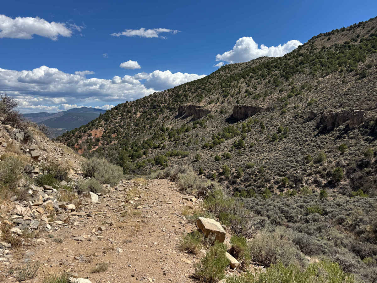 BLM 8535 photo 5