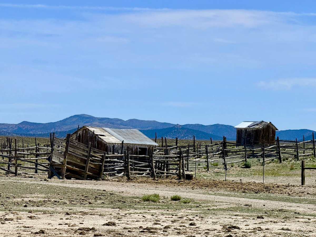 North Antelope Valley Road photo 2
