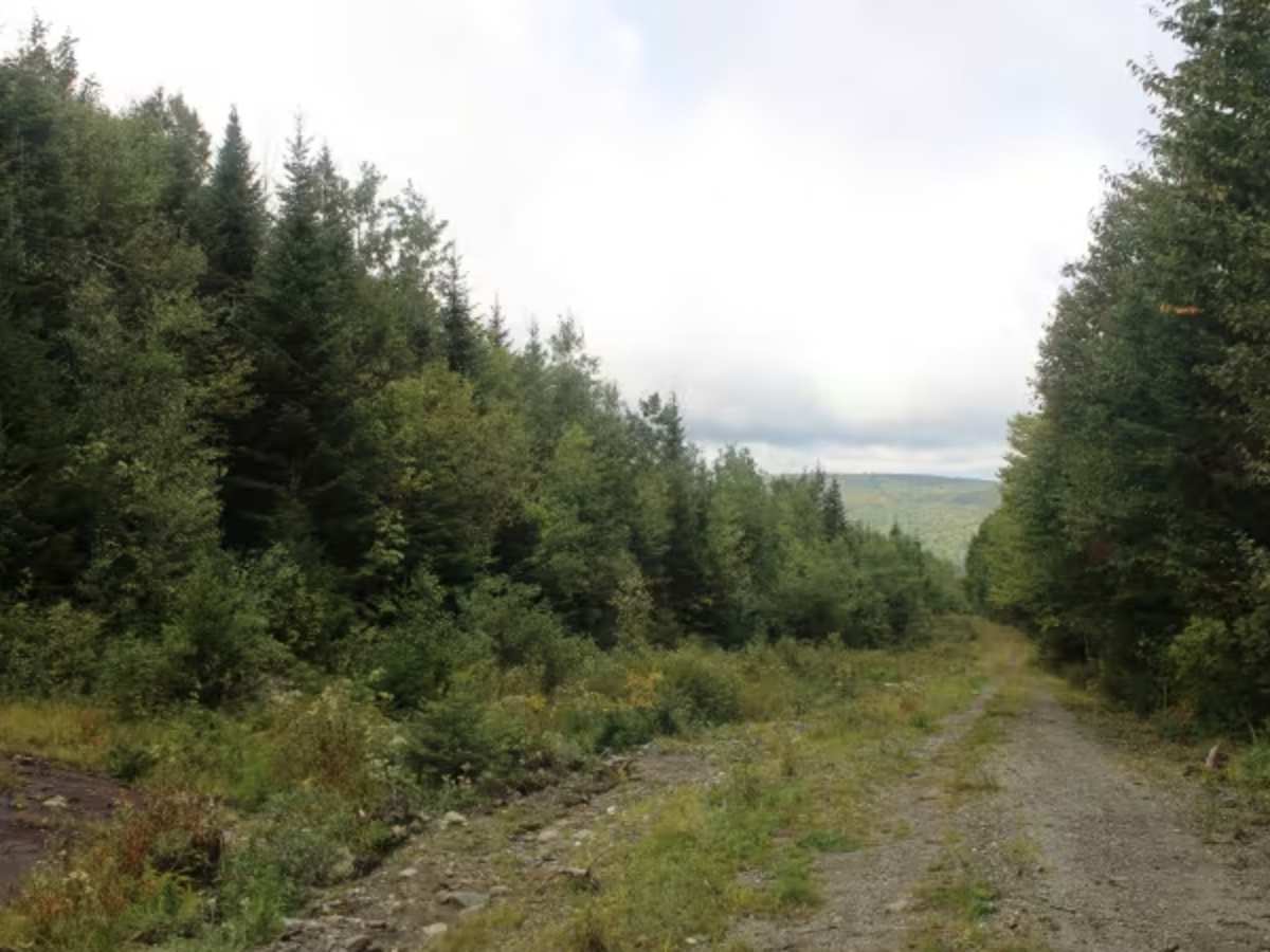 27-20 Trail photo 2
