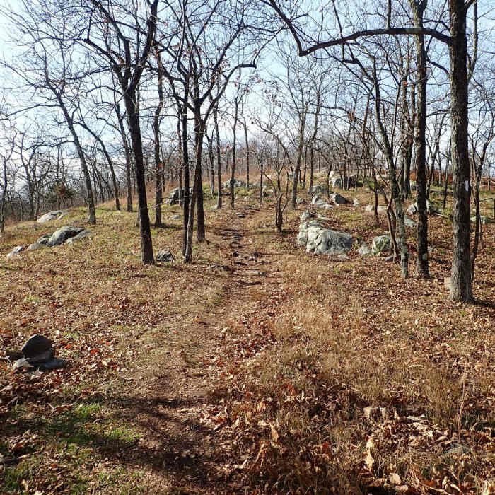 Near Appalachian Trail - Worthington State Forest Near Appalachian Trail - Worthington State Forest