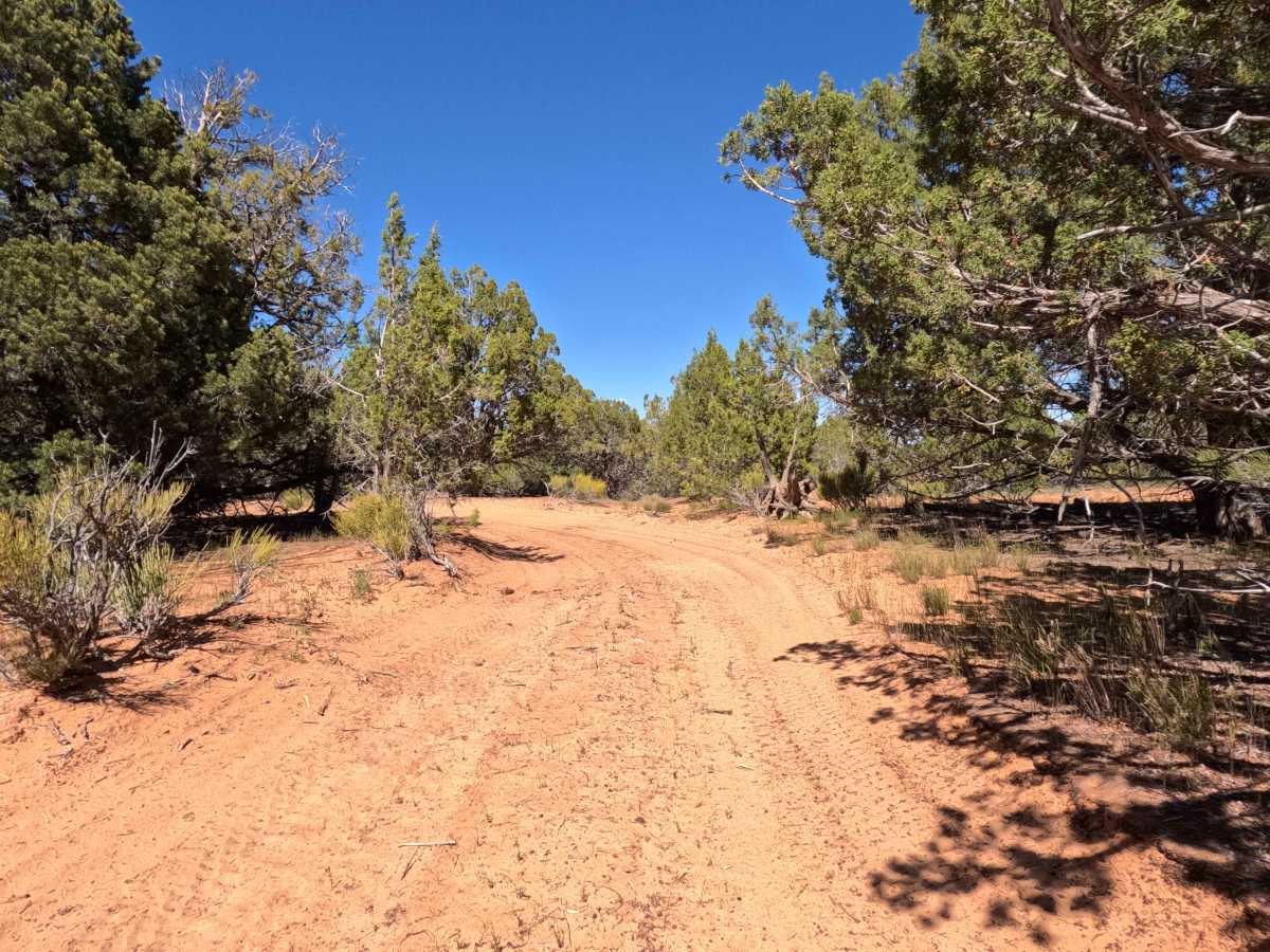 BLM 104J photo 3